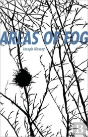 Areas Of Fog