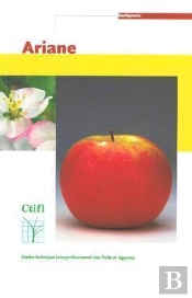 Ariane Hortipratic