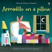 Armadillo On A Pillow