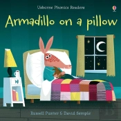 Armadillo On A Pillow