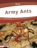 Army Ants