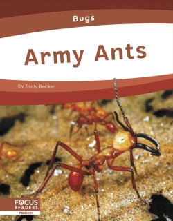 Bertrand.pt - Army Ants