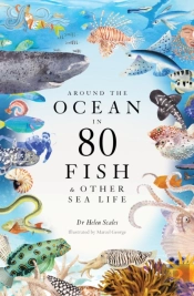 Around The Ocean In 80 Fish And Other Sea Life