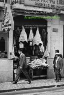Arquitectura do Bacalhau & Outras Espécies