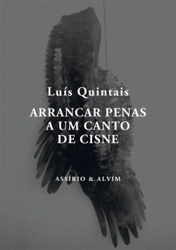 Bertrand.pt - Arrancar Penas a um Canto de Cisne