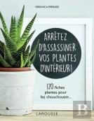 Arrêtez D'Assassiner Vos Plantes D'Intérieur