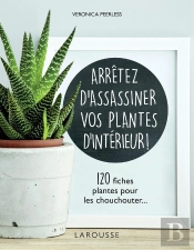 Arrêtez D'Assassiner Vos Plantes D'Intérieur
