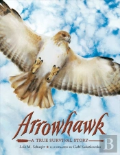 Arrowhawk