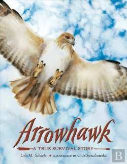 Bertrand.pt - Arrowhawk