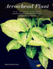 Arrowhead Plant