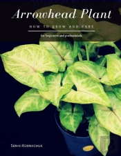 Arrowhead Plant