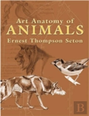 Art Anatomy Of Animals
