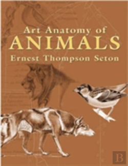 Bertrand.pt - Art Anatomy Of Animals