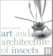 Art And Architecture Of Insects