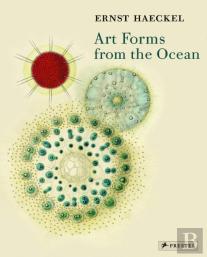 Art Forms From The Ocean