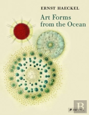 Art Forms From The Ocean
