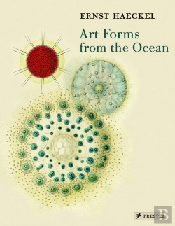 Bertrand.pt - Art Forms From The Ocean