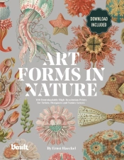 Art Forms In Nature By Ernst Haeckel