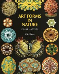 Art Forms In Nature