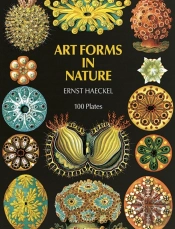 Art Forms In Nature