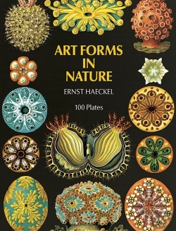 Bertrand.pt - Art Forms In Nature