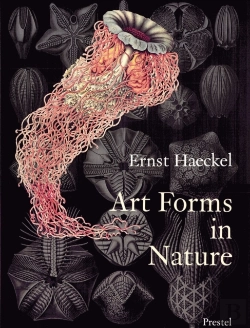 Bertrand.pt - Art Forms In Nature