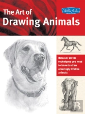 Art Of Drawing Animals