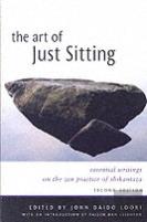 Art Of Just Sitting