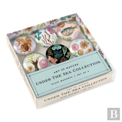 Bertrand.pt - Art Of Nature: Under The Sea Glass Magnet Set