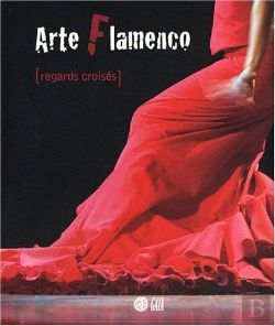 Bertrand.pt - Arte Flamenco ; Regards Croisés