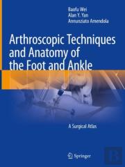 Arthroscopic Techniques And Anatomy Of The Foot And Ankle