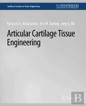Articular Cartilage Tissue Engineering