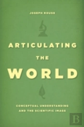 Articulating The World