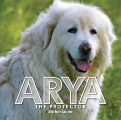 Bertrand.pt - Arya