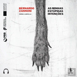 Bertrand.pt - As Minhas Estúpidas Intenções