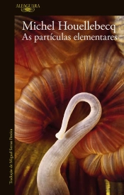 As Partículas Elementares