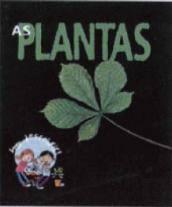 As Plantas