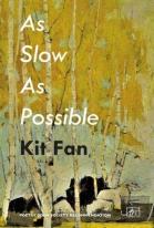 As Slow As Possible