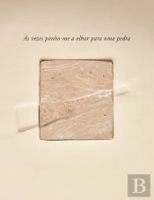 Às Vezes Ponho-me a Olhar para uma Pedra