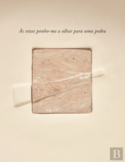 Bertrand.pt - Às Vezes Ponho-me a Olhar para uma Pedra