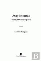 Asas de Cartão com Penas de Pato