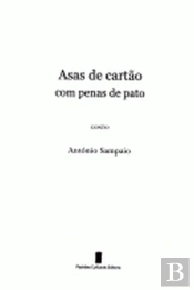 Asas de Cartão com Penas de Pato