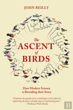 Bertrand.pt - Ascent Of Birds