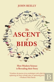 Ascent Of Birds