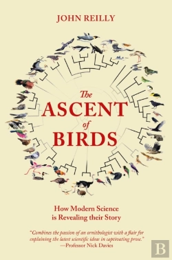 Bertrand.pt - Ascent Of Birds