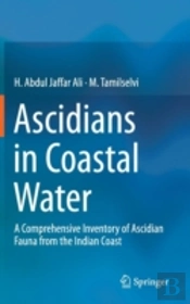 Ascidians In Coastal Water