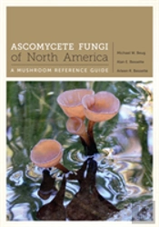 Ascomycete Fungi Of North America