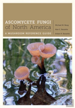 Bertrand.pt - Ascomycete Fungi Of North America