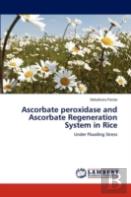 Ascorbate Peroxidase And Ascorbate Regeneration System In Rice