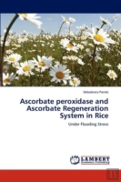 Bertrand.pt - Ascorbate Peroxidase And Ascorbate Regeneration System In Rice